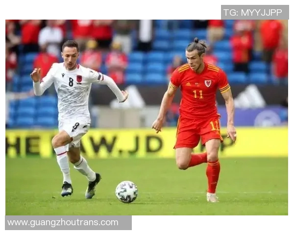 威尔士与英格兰精彩对决录播回顾分析及精彩瞬间分享