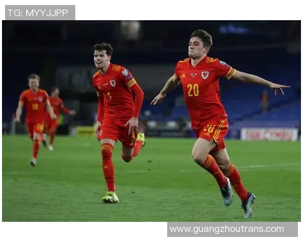 威尔士与中国足球友谊赛前瞻及胜负预测分析 威尔士与中国足球友谊赛前瞻及胜负预测分析