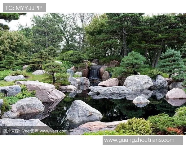 圣保罗与日本攻略全方位对比探讨旅行必备信息与建议