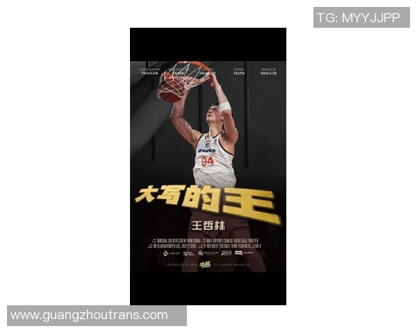 王哲林的篮球之路:从青涩少年到CBA巨星的成长历程与心路历程 王哲林的篮球之路:从青涩少年到CBA巨星的成长历程与心路历程