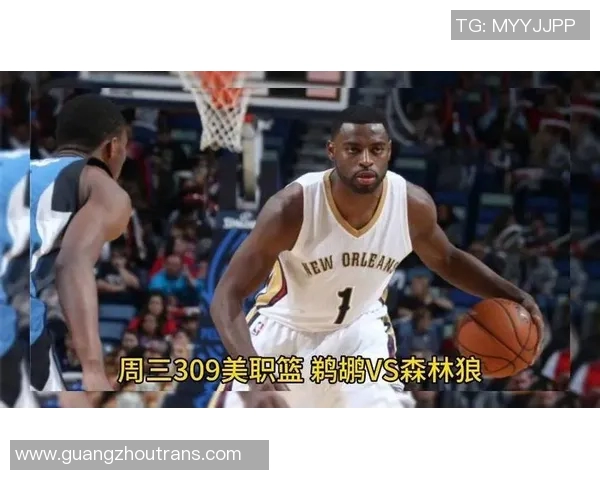 2019年2月9日森林狼与鹈鹕的精彩对决回顾与分析 2019年2月9日森林狼与鹈鹕的精彩对决回顾与分析