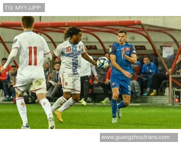 欧洲杯精彩对决斯洛伐克与波兰强强联手争夺胜利荣耀