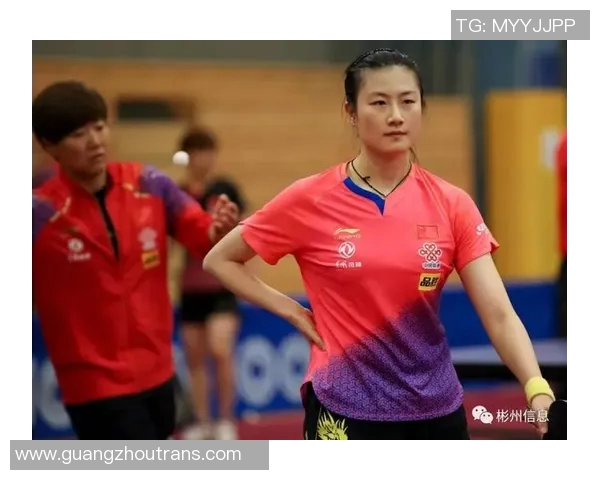 成都乒乓球队耐力训练的秘密与挑战探索